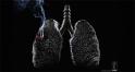 old/cigarettes-lung-l.jpg